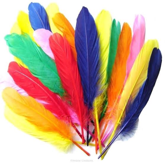 coloured-feather-pkt